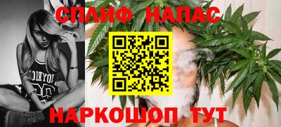 молекула духа Бийск