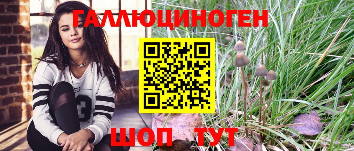 Керчь  Галлюциногенные грибы Magic Shrooms  Вход с VPN  Псилоцибиновые грибы GOLDEN TEACHER 