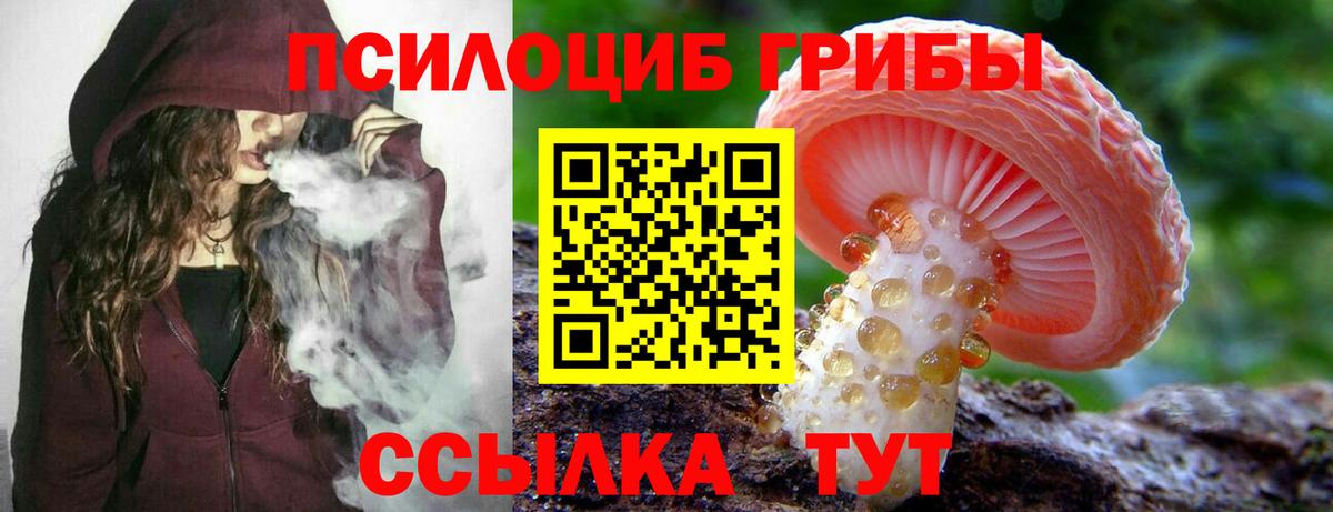 Галлюциногенные грибы Psilocybine cubensis Керчь